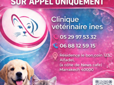 Clinique Vétérinaire Marrakech INES – Urgences 24h/24