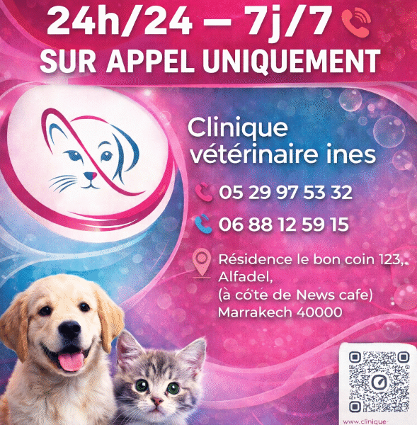 Clinique Vétérinaire Marrakech INES – Urgences 24h/24