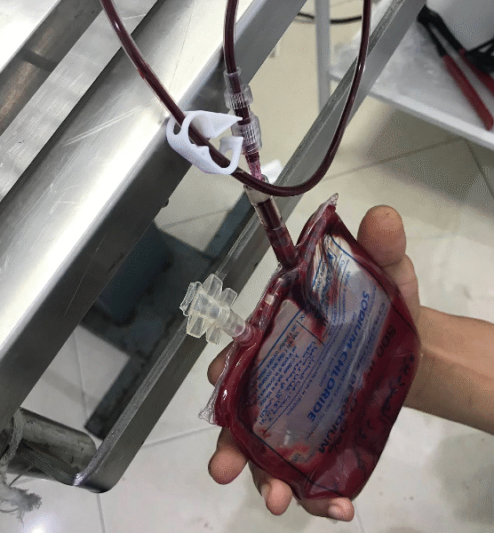 Clinique Vétérinaire Harhoura – Urgences 24h/24 SOS