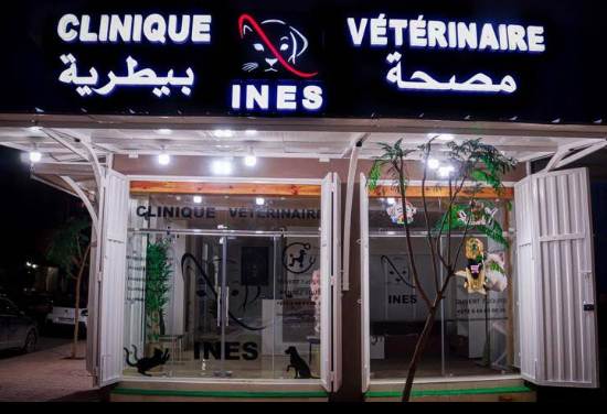 Clinique Vétérinaire Marrakech INES – Urgences 24h/24