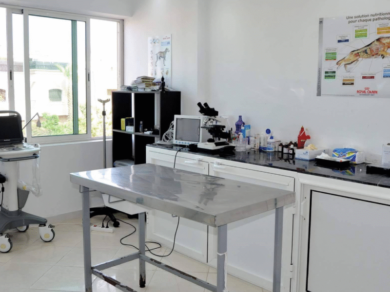 Clinique Vétérinaire Harhoura – Urgences 24h/24 SOS