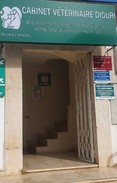 Cabinet Vétérinaire Diouri – Urgences Vétérinaires – Harhoura