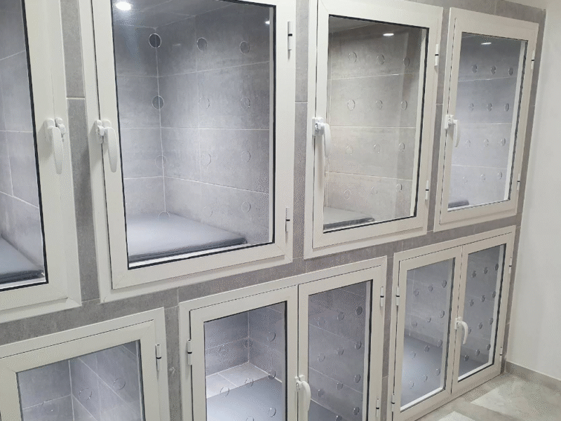 Cabinet Vétérinaire Diouri – Urgences Vétérinaires – Harhoura