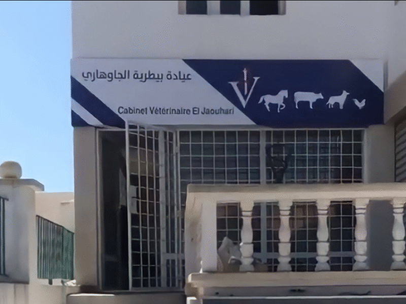 Cabinet Vétérinaire Safi – Dr Mohamed El Jaouhari