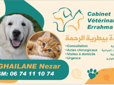 Cabinet Vétérinaire ERRAHMA – Urgences 24h/24 Rabat