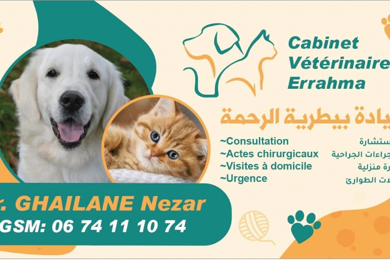 Cabinet Vétérinaire ERRAHMA – Urgences 24h/24 Rabat