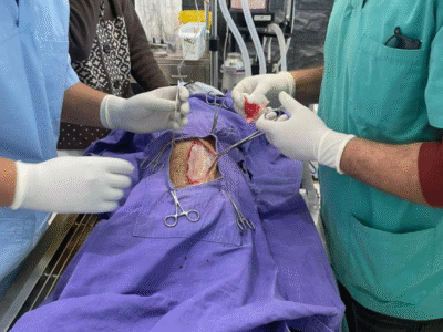 Clinique Vétérinaire Harhoura – Urgences 24h/24 SOS