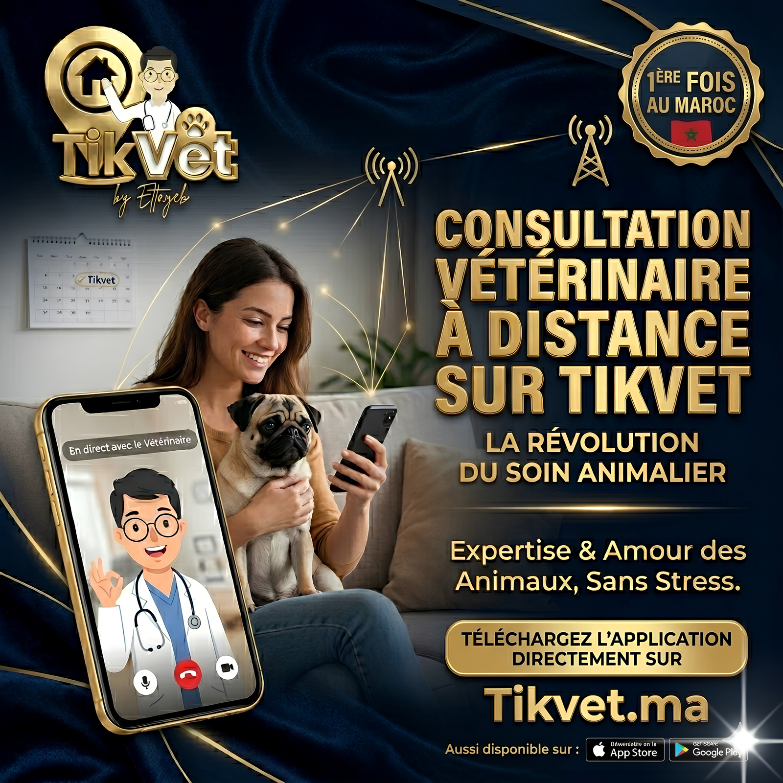 TikVet Consultation