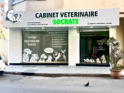 Cabinet Vétérinaire Socrate