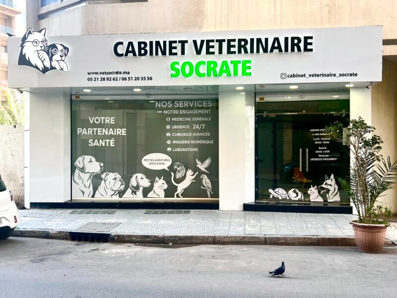 Cabinet Vétérinaire Socrate