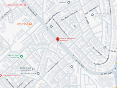 Cabinet vétérinaire Bahbouhi – Vétérinaire au Maroc