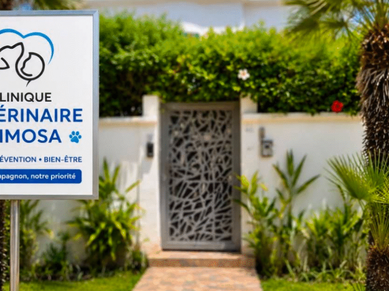 Clinique vétérinaire mimosa
