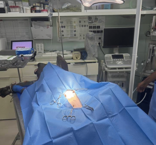 Clinique vétérinaire mimosa